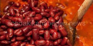Meksika Fasulyesi Nedir?