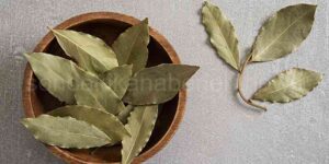 Defne Yaprağı Faydaları Nelerdir?